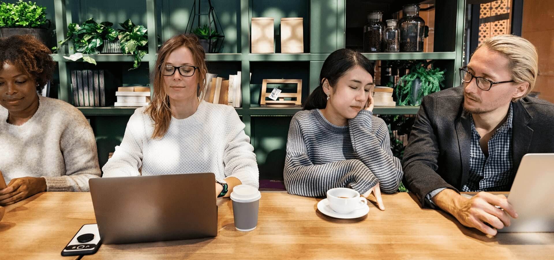 欢迎来到我们的Flixita